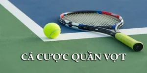 Tìm Hiểu Cá Cược Quần Vợt HB88 Dành Cho Người Đam Mê Thể Thao