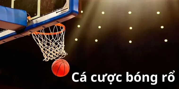 Tìm Hiểu Cá Cược Bóng Rổ HB88 Đỉnh Cao Dành Cho Tín Đồ Thể Thao